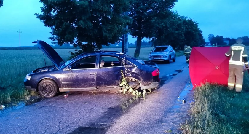 Tragedia na drodze. Jeden z pasażerów zginął, troje nastolatków jest rannych [zdjęcia]