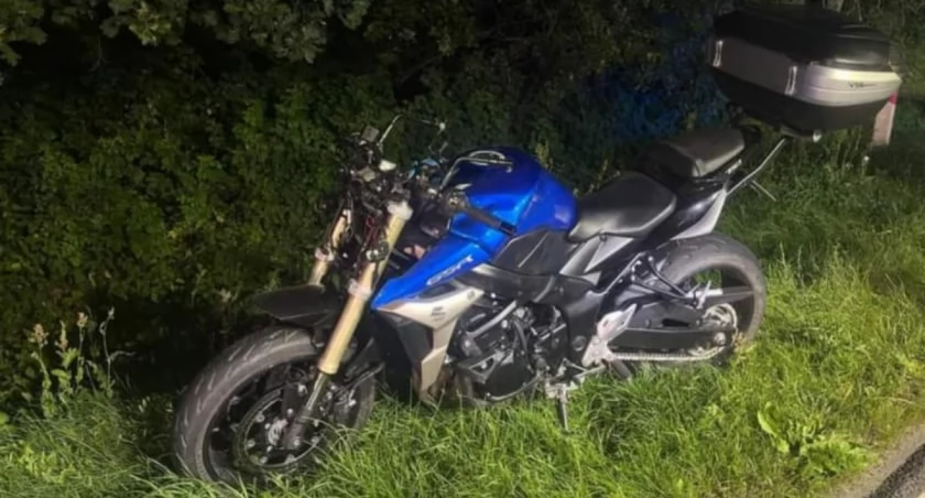 Motocykl zderzył się z łosiem. Groźne zdarzenie pod Ciechanowem [zdjęcia]