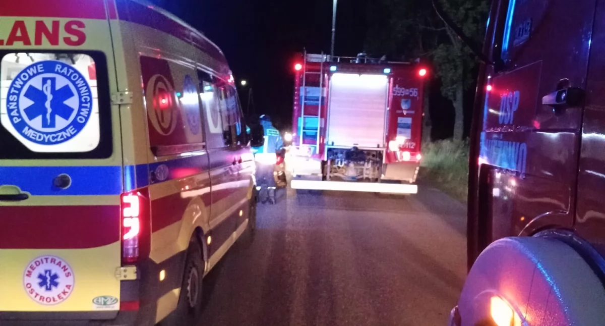 Motocyklista uderzył w psa