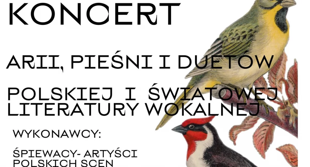 Koncert muzyki poważnej w pobliżu Ciechanowa