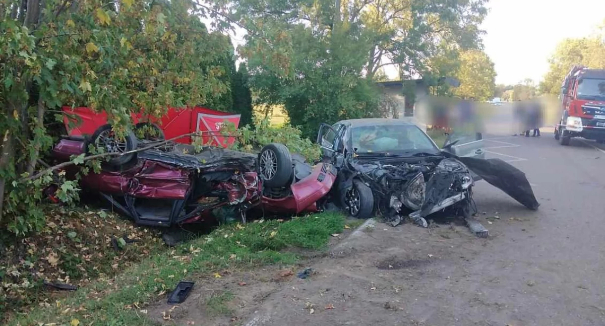 Z ostatniej chwili: Tragiczny wypadek koło Ciechanowa. Droga jest zablokowana [zdjęcia]