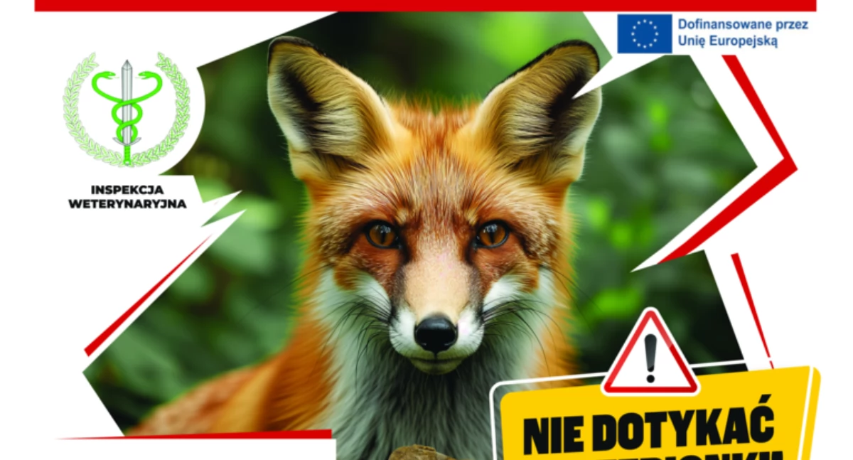 Za kilka dni będą zrzucane lub rozkładane szczepionki