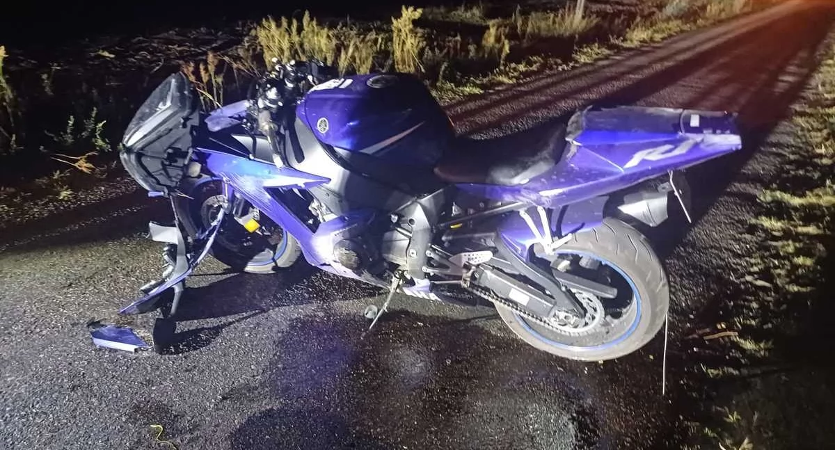 Pies wtargnął pod koła motocykla, doszło do wypadku [zdjęcia]