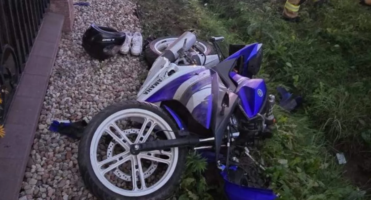 Psy wbiegły na drogę. 16-letni motocyklista ranny w wypadku