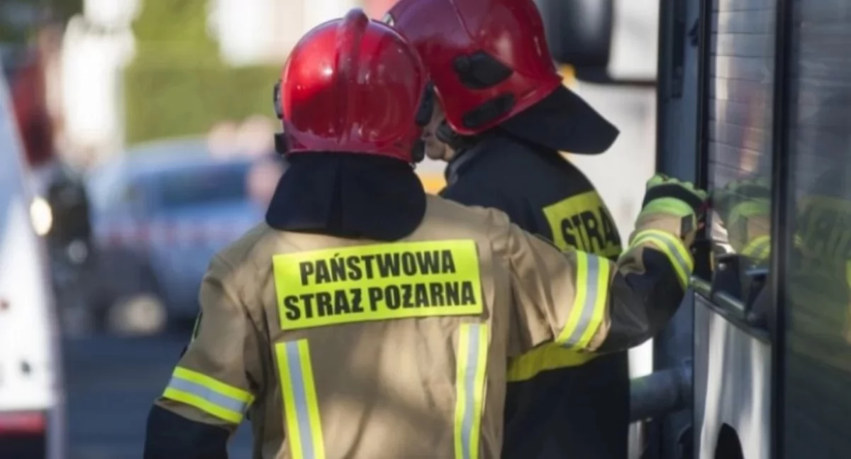 Strażacy z Ciechanowa kontra uparty kot