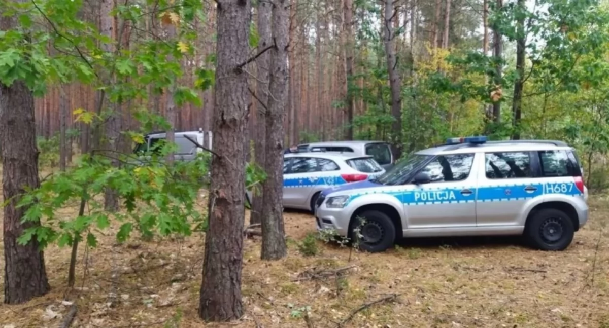 Chwile grozy podczas grzybobrania. Zniknęła 5-letnia dziewczynka