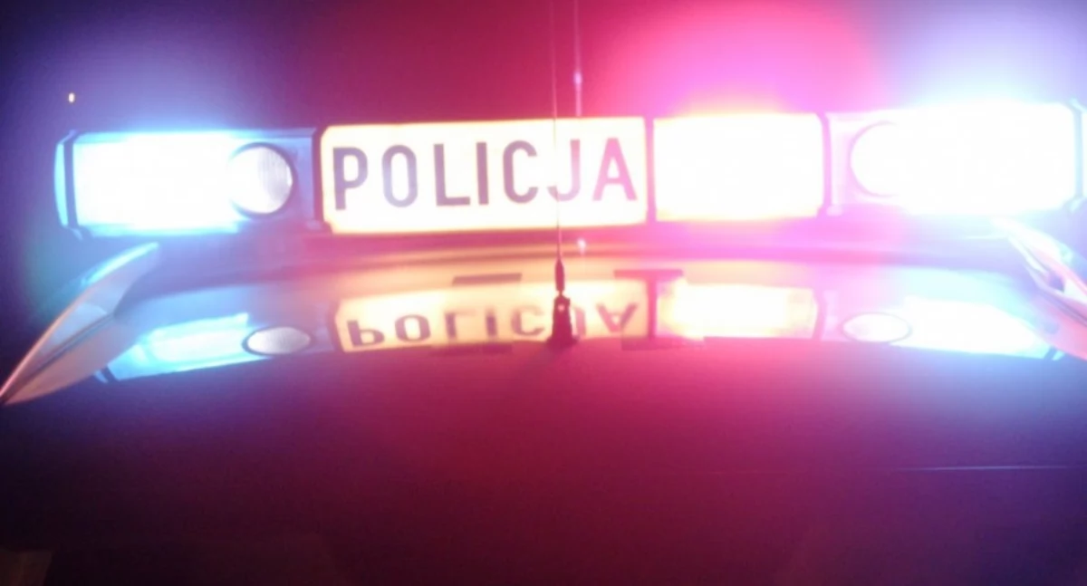 Pijany kierowca uderzył w znak drogowy w Ciechanowie i zaczął uciekać. Był agresywny