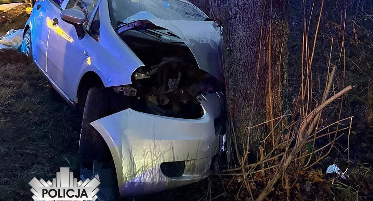 Trzy osoby ranne w wypadku. Fiat uderzył w drzewo [zdjęcia]