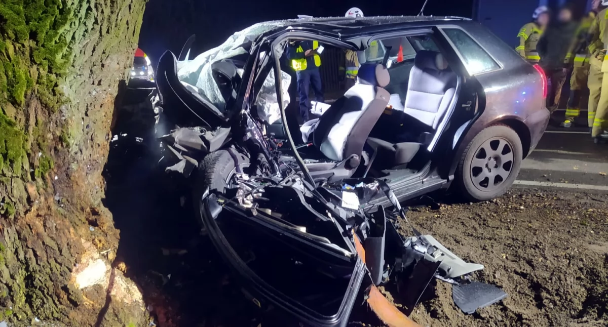 Tragiczny wypadek na drodze Ciechanów-Mława. Zginął kierowca, pasażerka jest w ciężkim stanie [zdjęcia]