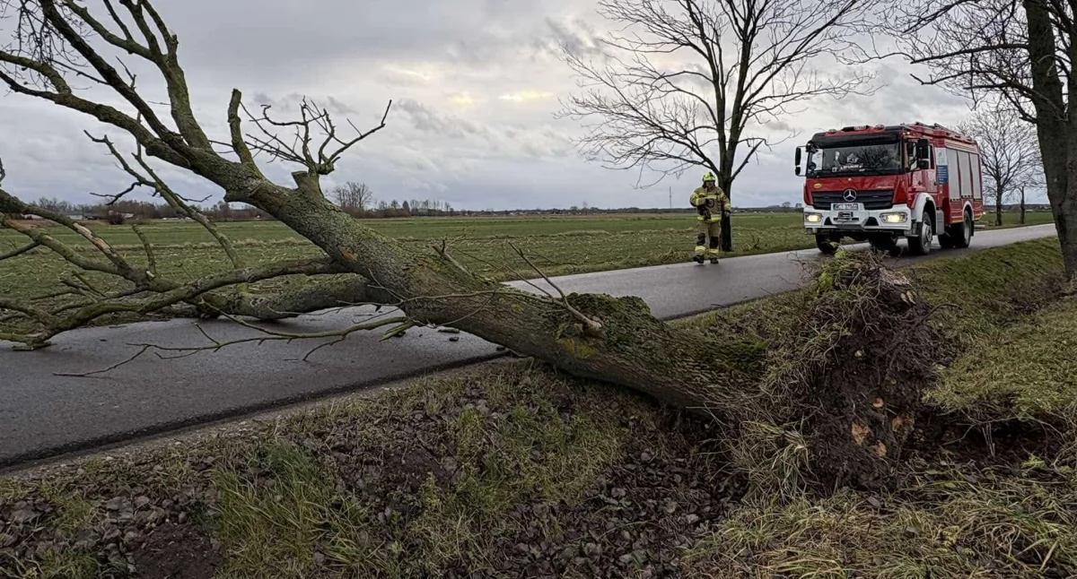 Uszkodzone dachy, rozbite auta, połamane drzewa. Skutki wichury w powiecie ciechanowskim [zdjęcia]