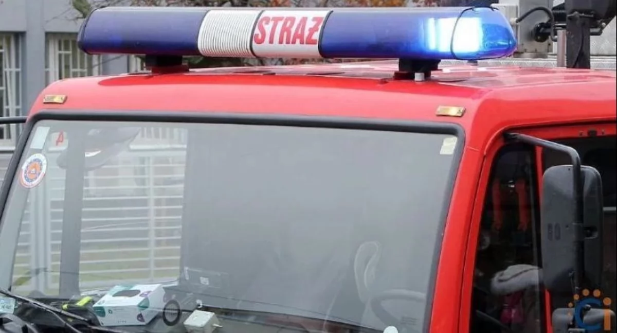 Interwencja straży pożarnej w Biedronce w centrum Ciechanowa
