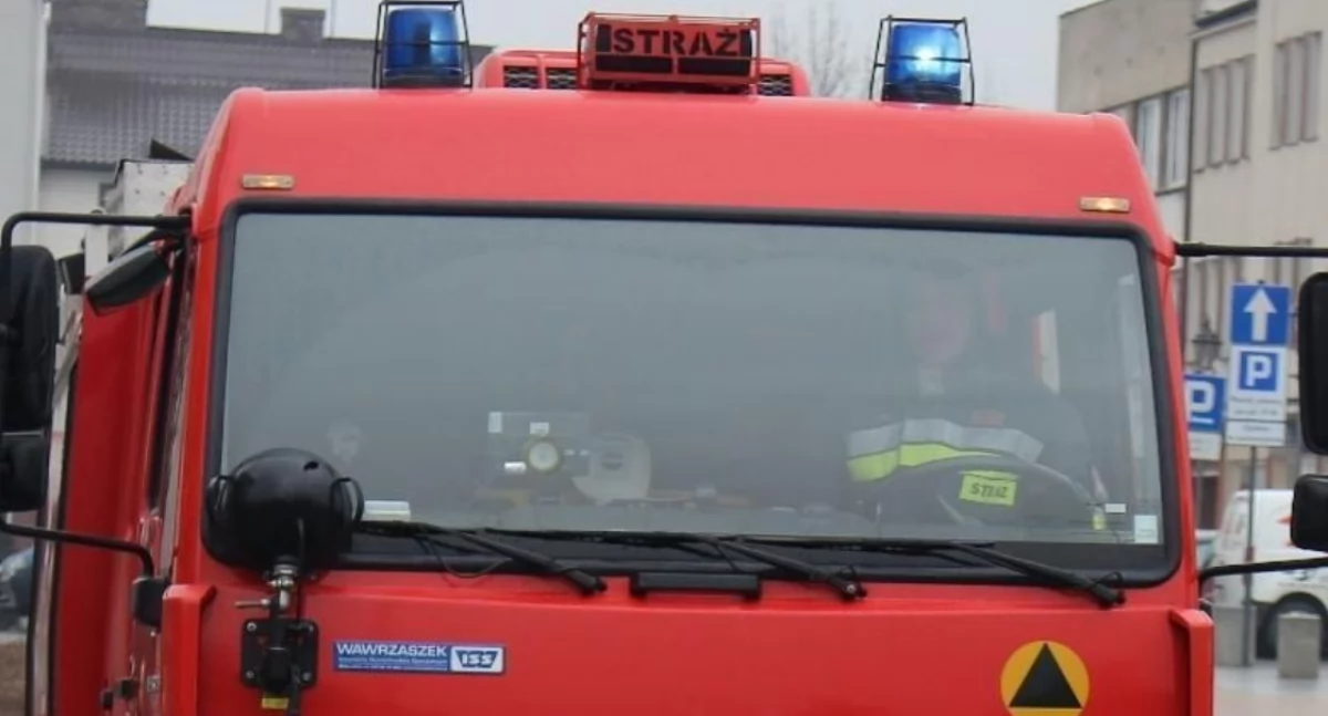 Kolce zagrażały przechodniom. Niecodzienne zdarzenie w Ciechanowie