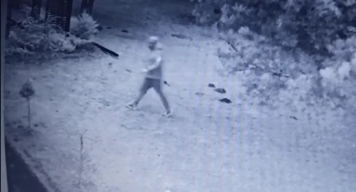 Włamali się do domu. Szuka ich policja [zobacz nagranie]