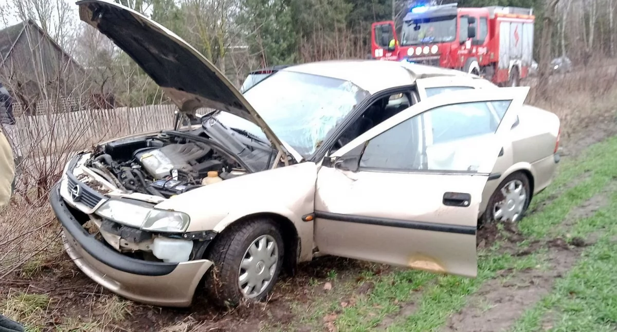 Opel wypadł z drogi, kierowca trafił do szpitala [zdjęcia]