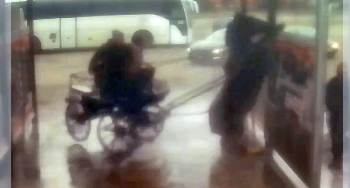 Myli konia na myjni samochodowej. Sprawę bada policja [zobacz nagranie]
