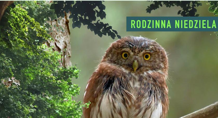 Sekrety opinogórskiego parku. Rodzinna Niedziela w Muzeum Romantyzmu