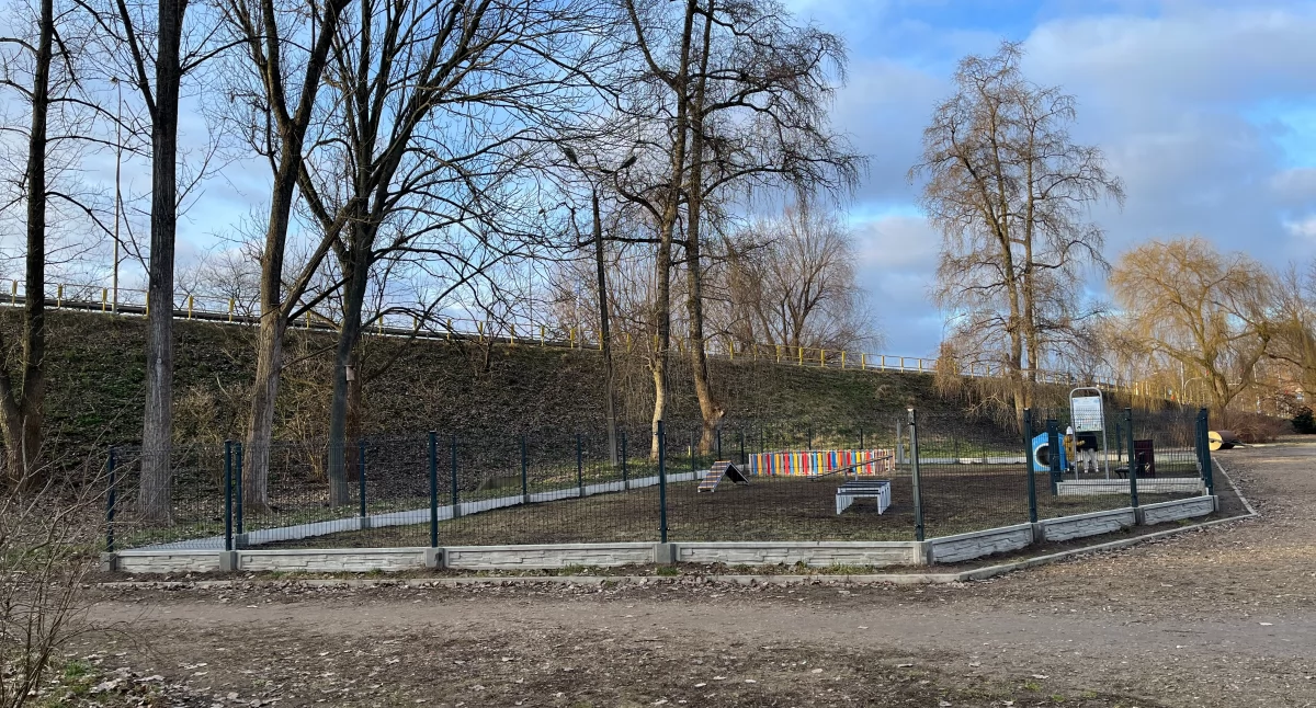 Szkło na wybiegu dla psów. Kolejny akt wandalizmu w Ciechanowie