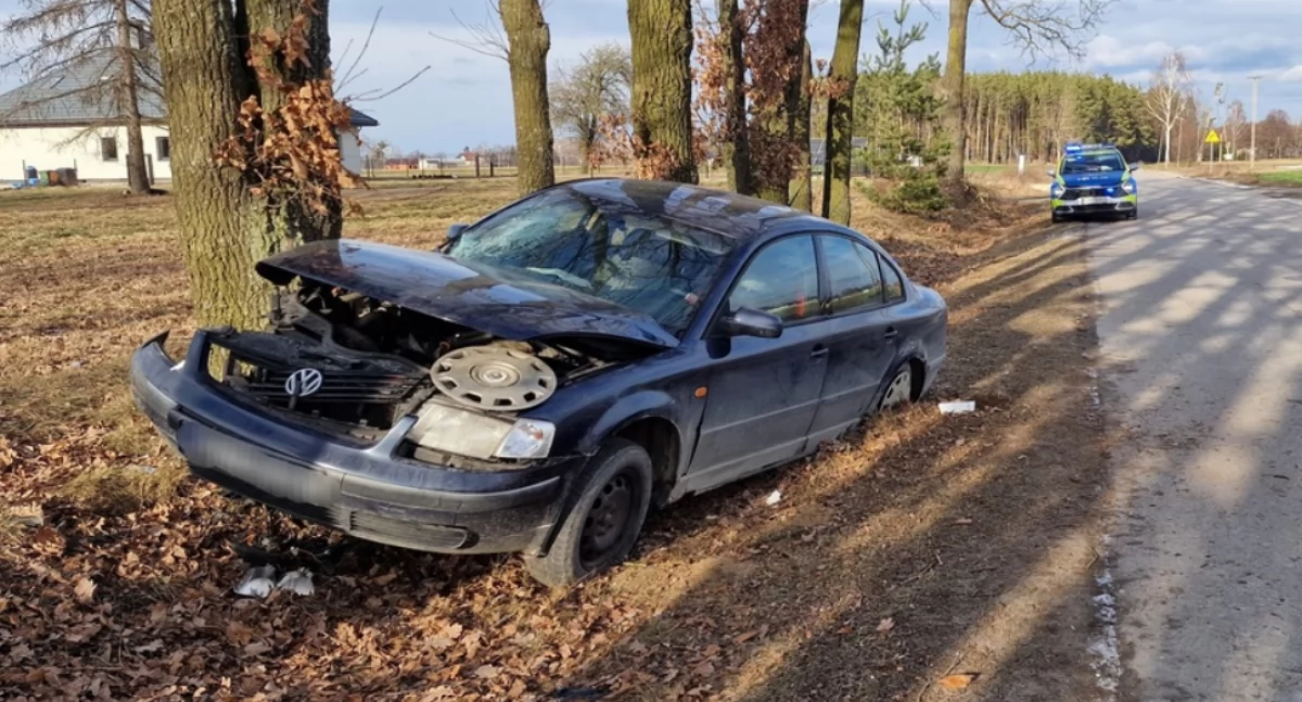 Passat uderzył w drzewo. Ranna pasażerka, kierowca był pijany [zdjęcia]