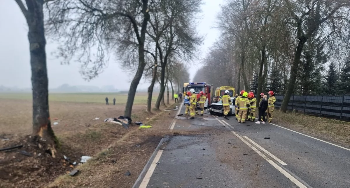 Groźne zdarzenie w powiecie ciechanowskim. Nastolatka uderzyła autem w drzewo