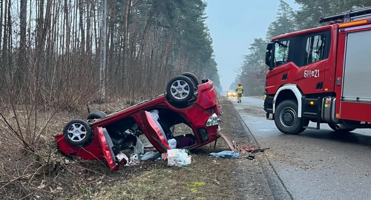 Dwa groźne zdarzenia drogowe z udziałem zwierząt