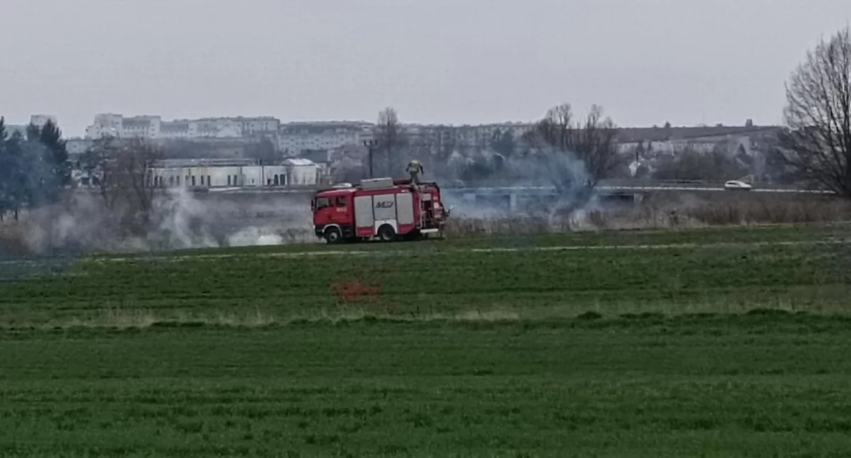 W Ciechanowie znów paliły się trawy
