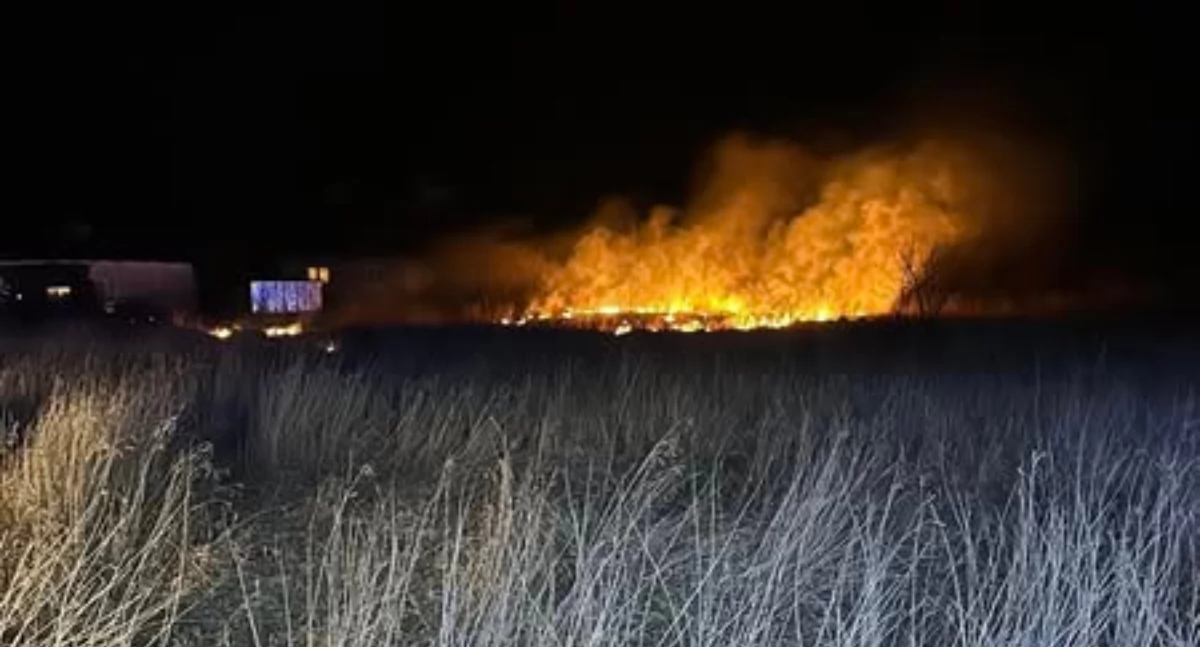 Seria pożarów w podciechanowskiej miejscowości