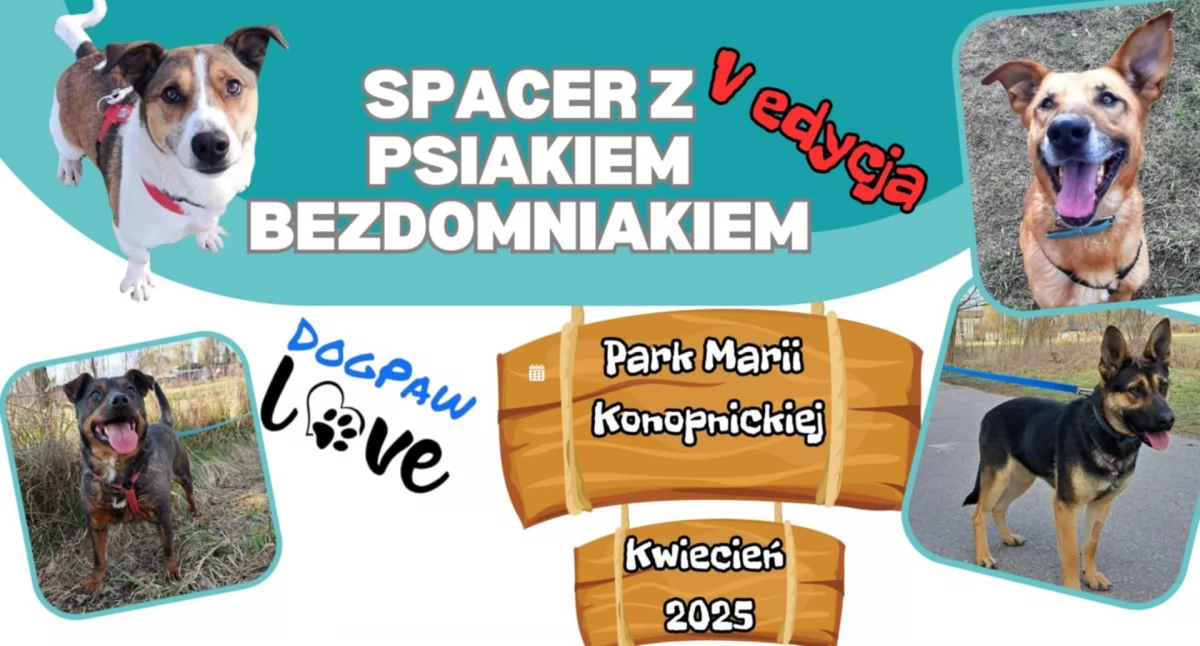 5 edycja spaceru z psami w ciechanowskim parku