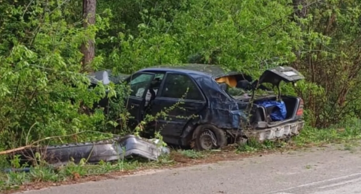 Mercedes uderzył w drzewa, są ranni. Policja publikuje nagranie z wypadku [wideo]