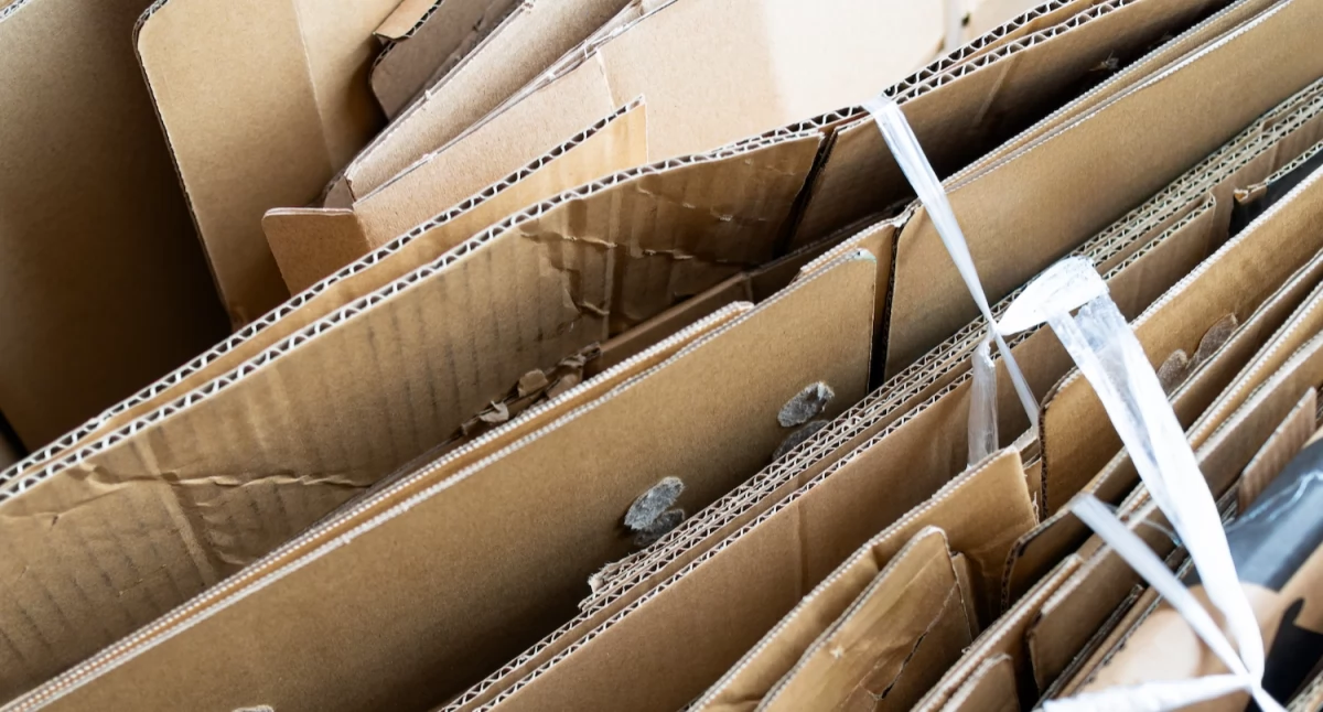 Recykling kartonów – jak maksymalnie wykorzystać ich potencjał po zużyciu?