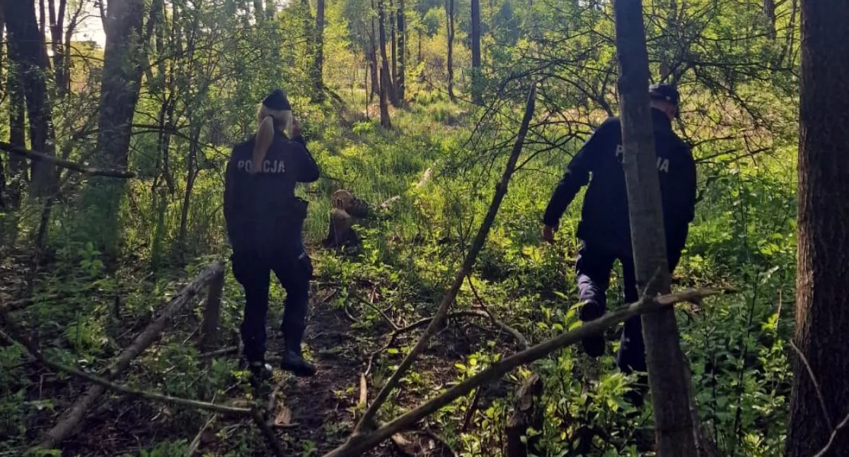 Zaginiona 16-latka nie żyje. Policja zatrzymała podejrzanego o zabójstwo