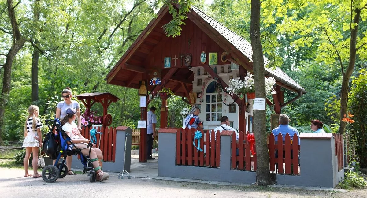 Koncert maryjny w gminie Sońsk [program]