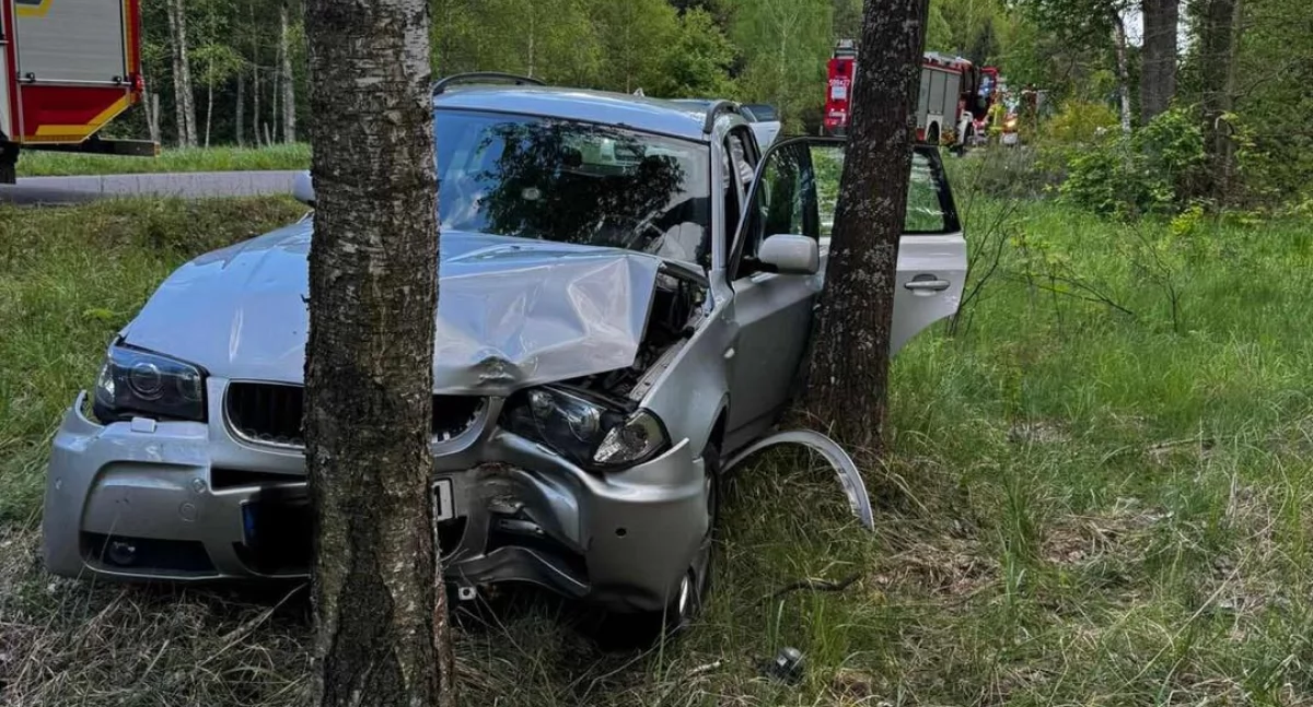 Kierowca BMW uderzył w drzewo. Chciał ominąć zwierzę [zdjęcia]