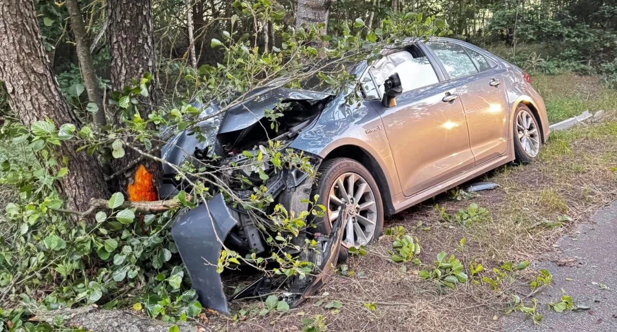 Toyota uderzyła w drzewo. Ranny mieszkaniec powiatu ciechanowskiego [zdjęcia]