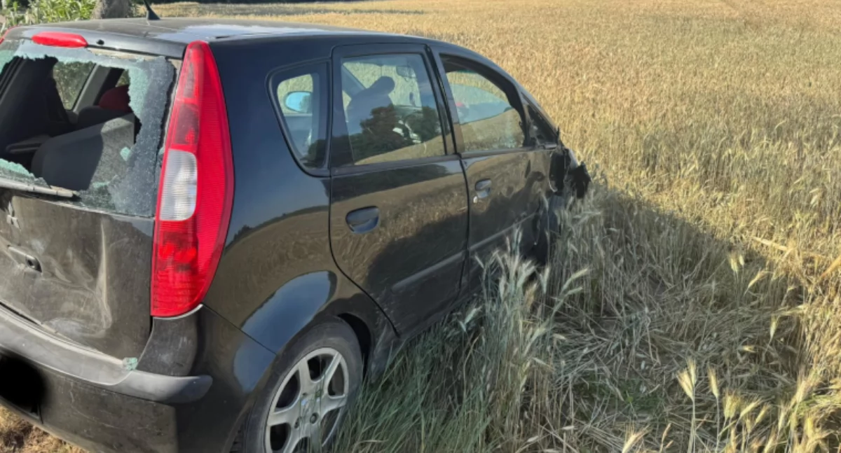 Auto uderzyło w drzewo i skarpę. Kierowca był kompletnie pijany