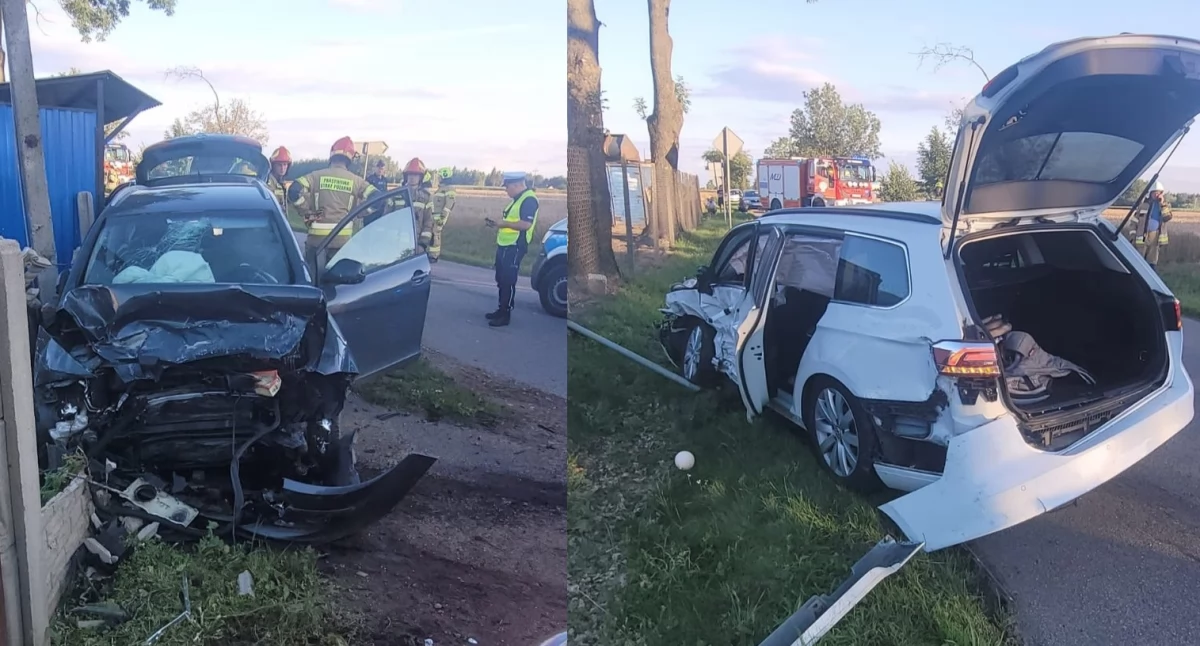 Rozbite auta, uszkodzone ogrodzenie i znak. Groźne zdarzenie koło Ciechanowa [zdjęcia]