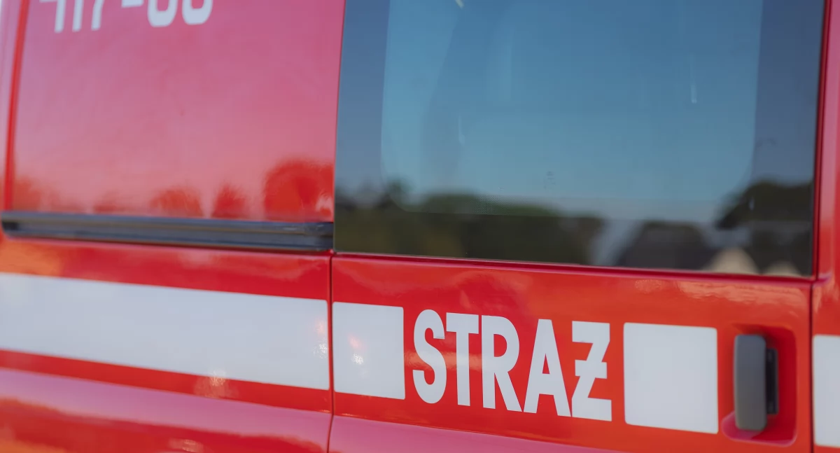 Dwa zdarzenia drogowe w pobliżu Ciechanowa z udziałem dzikich zwierząt 