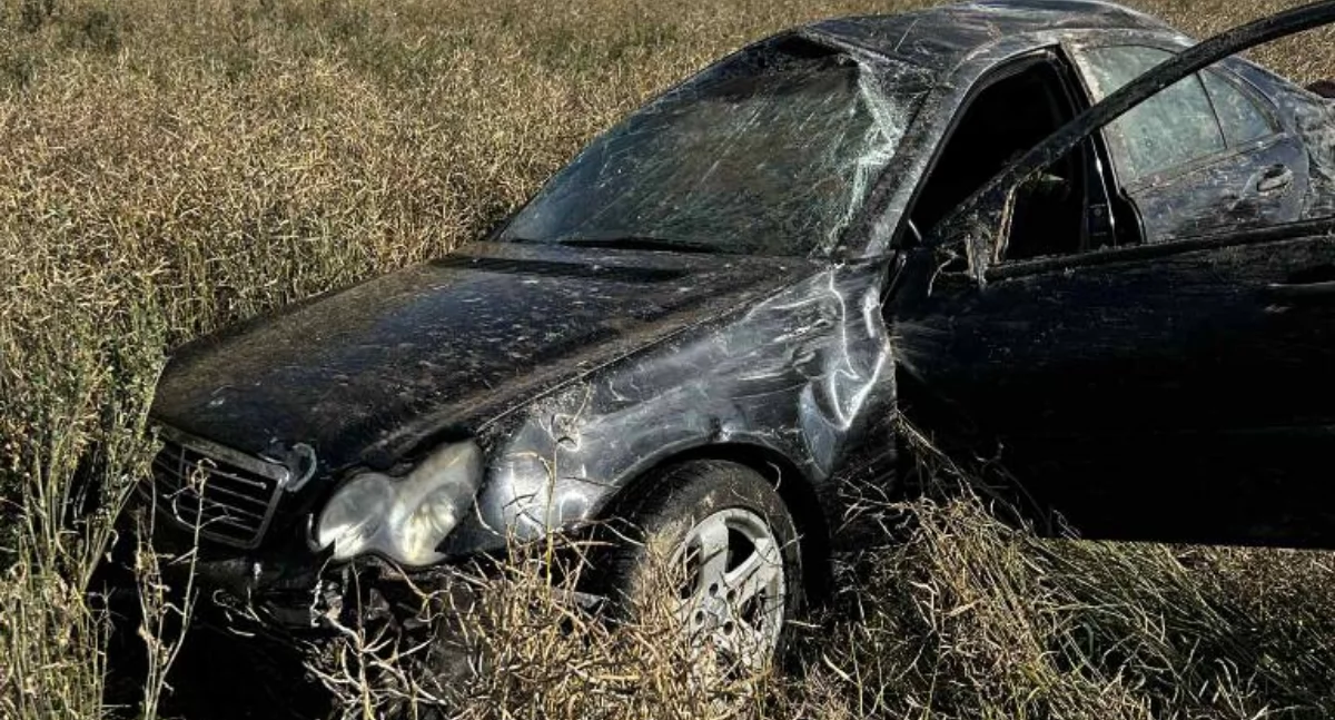 Chciał uniknąć zderzenia z łosiem, auto kilkukrotnie dachowało [wideo/zdjęcia]