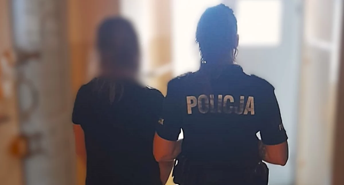 Mieszkanka Ciechanowa ukradła defibrylator z dworca kolejowego
