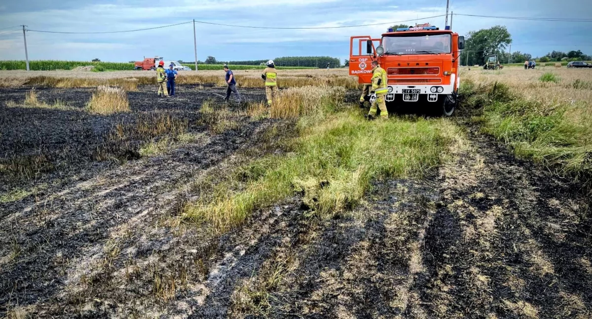 Pożar pod Ciechanowem. 