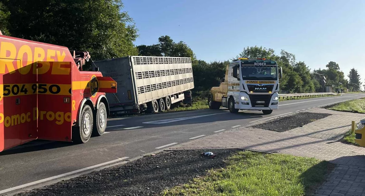 Ciężarówka wjechała do rowu kilka km od Ciechanowa [zdjęcia]