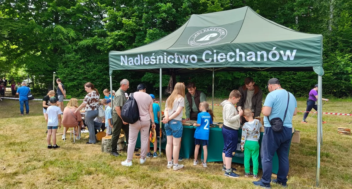 Wolny etat w ciechanowskim nadleśnictwie. Znamy wysokość wynagrodzenia