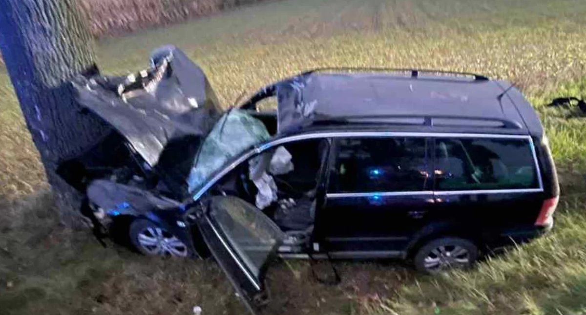 Poranny wypadek. Auto uderzyło w łosia