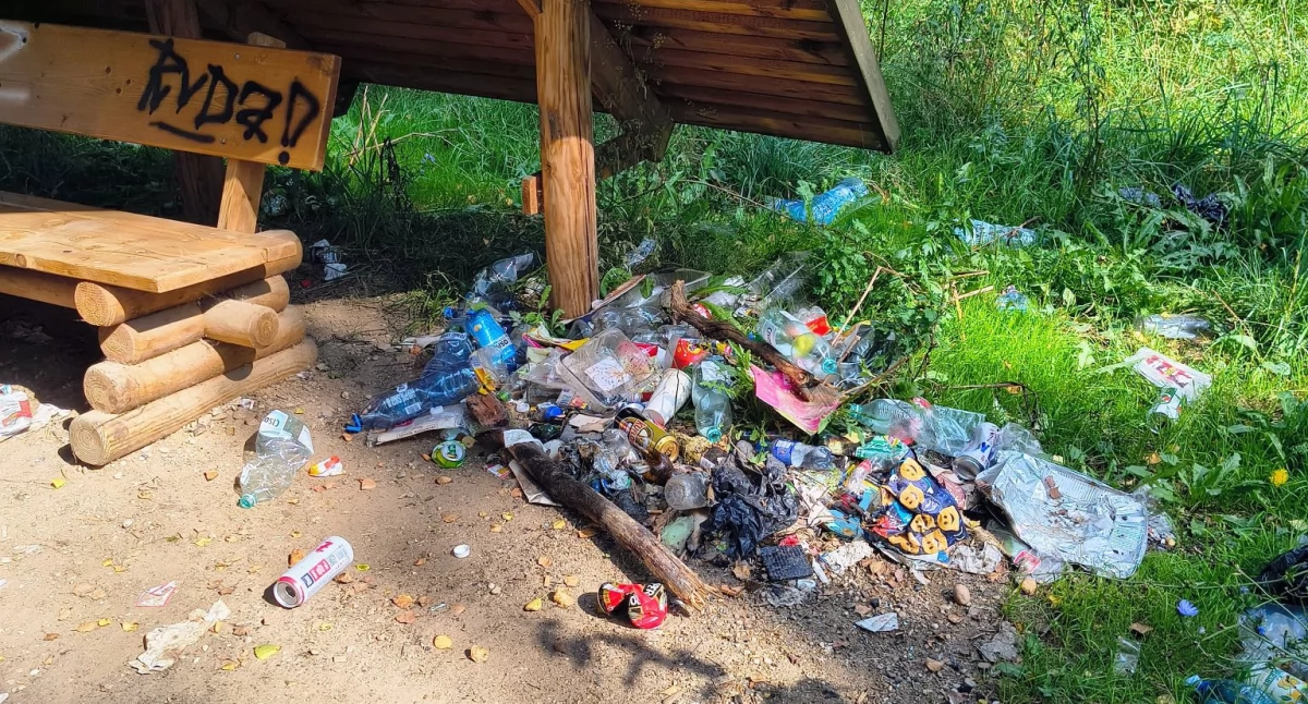 Wiata czy śmietnik? Takie widoki w lesie społecznym na Krubinie [zdjęcia]