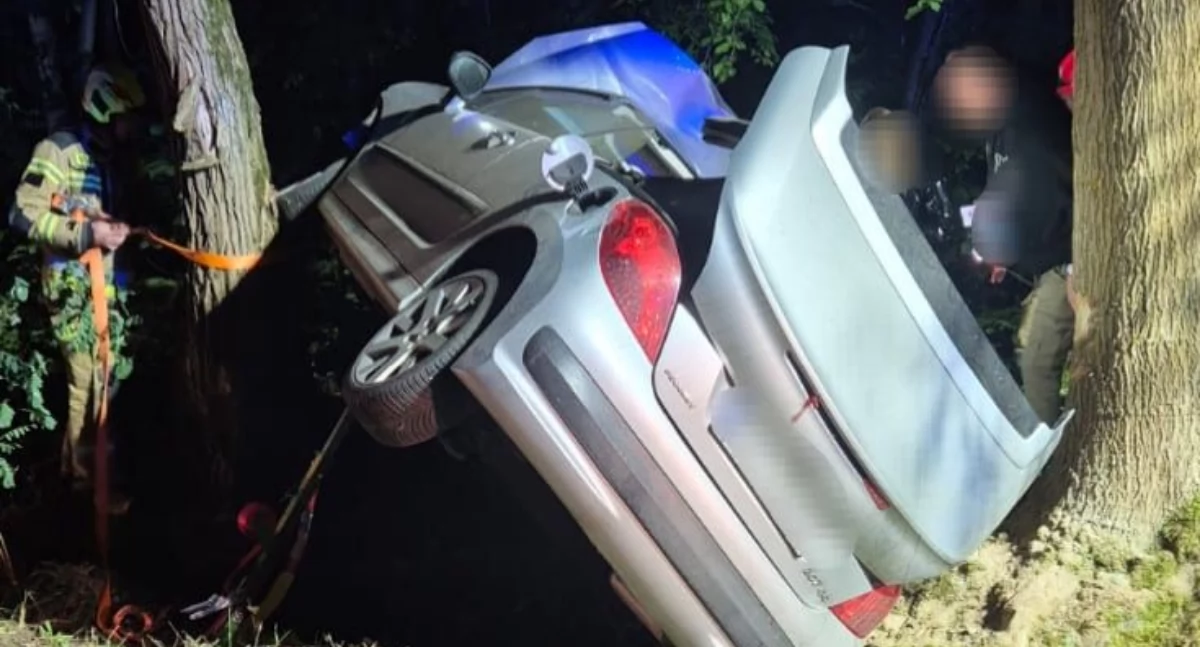 Rozbite auto pomiędzy drzewami. Kierująca chciała uniknąć zderzenia z sarną
