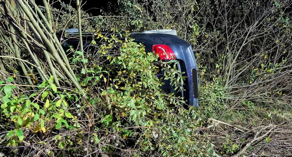 Auto wypadło z drogi i przewróciło się na bok. Na drogę wbiegła sarna [zdjęcia]
