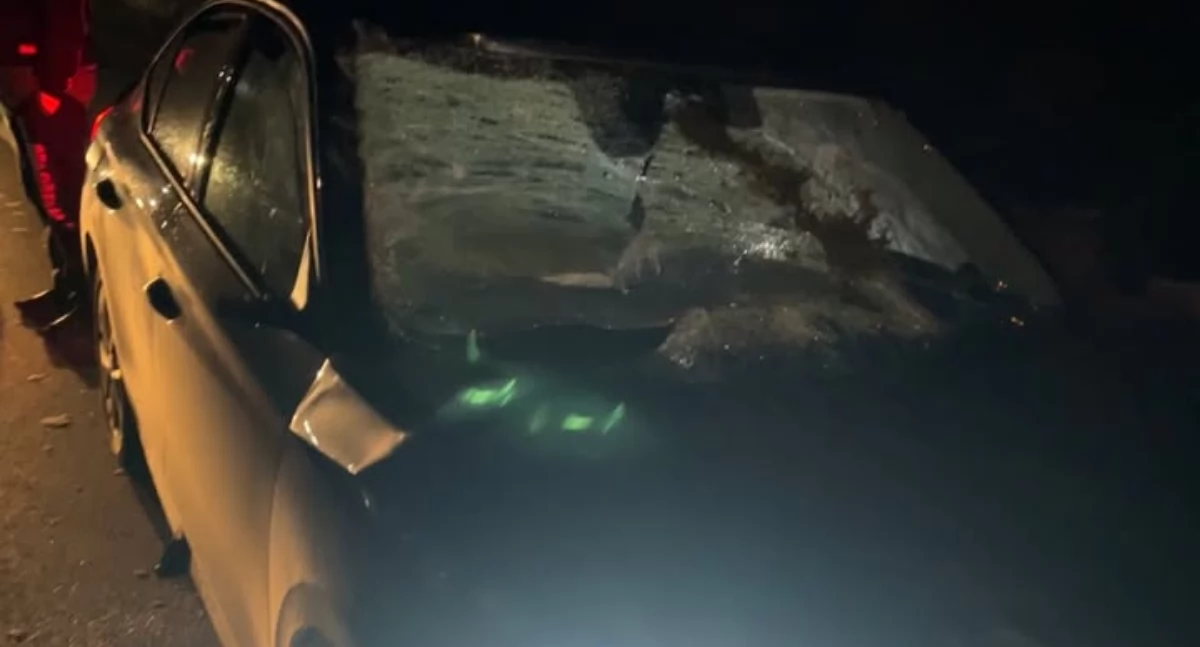 AKTUALIZACJA: Wypadek koło Ciechanowa. Auto uderzyło w łosia [zdjęcia]