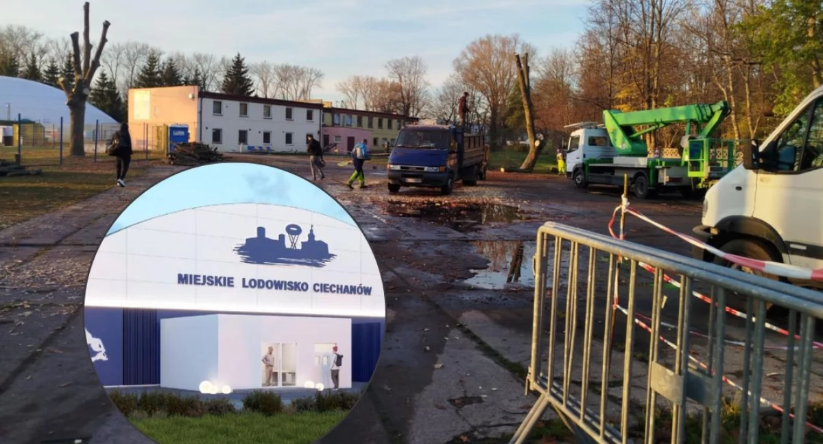 Wycinka drzew na stadionie. Trwają przygotowania do budowy krytego lodowiska w Ciechanowie [zdjęcia]