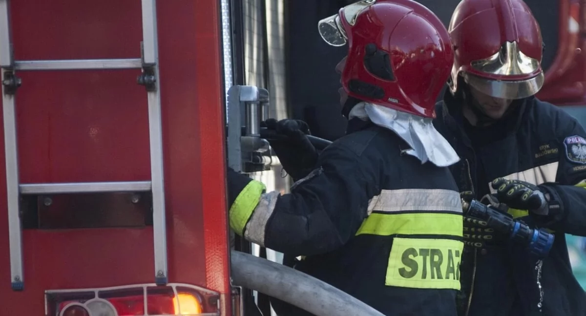 Sarna wpadła do studzienki. Interwencja straży pożarnej w Ciechanowie