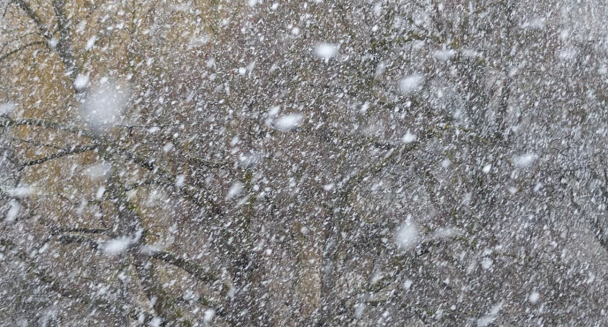 Nadchodzą intensywne opady. Ostrzeżenie w Ciechanowie i okolicy