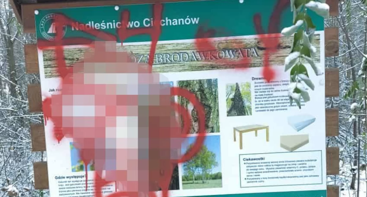 Dewastacja w lesie na terenie Ciechanowa